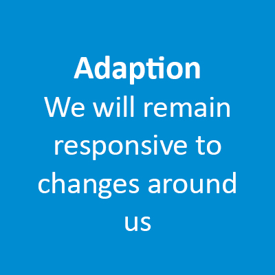 Adaption 