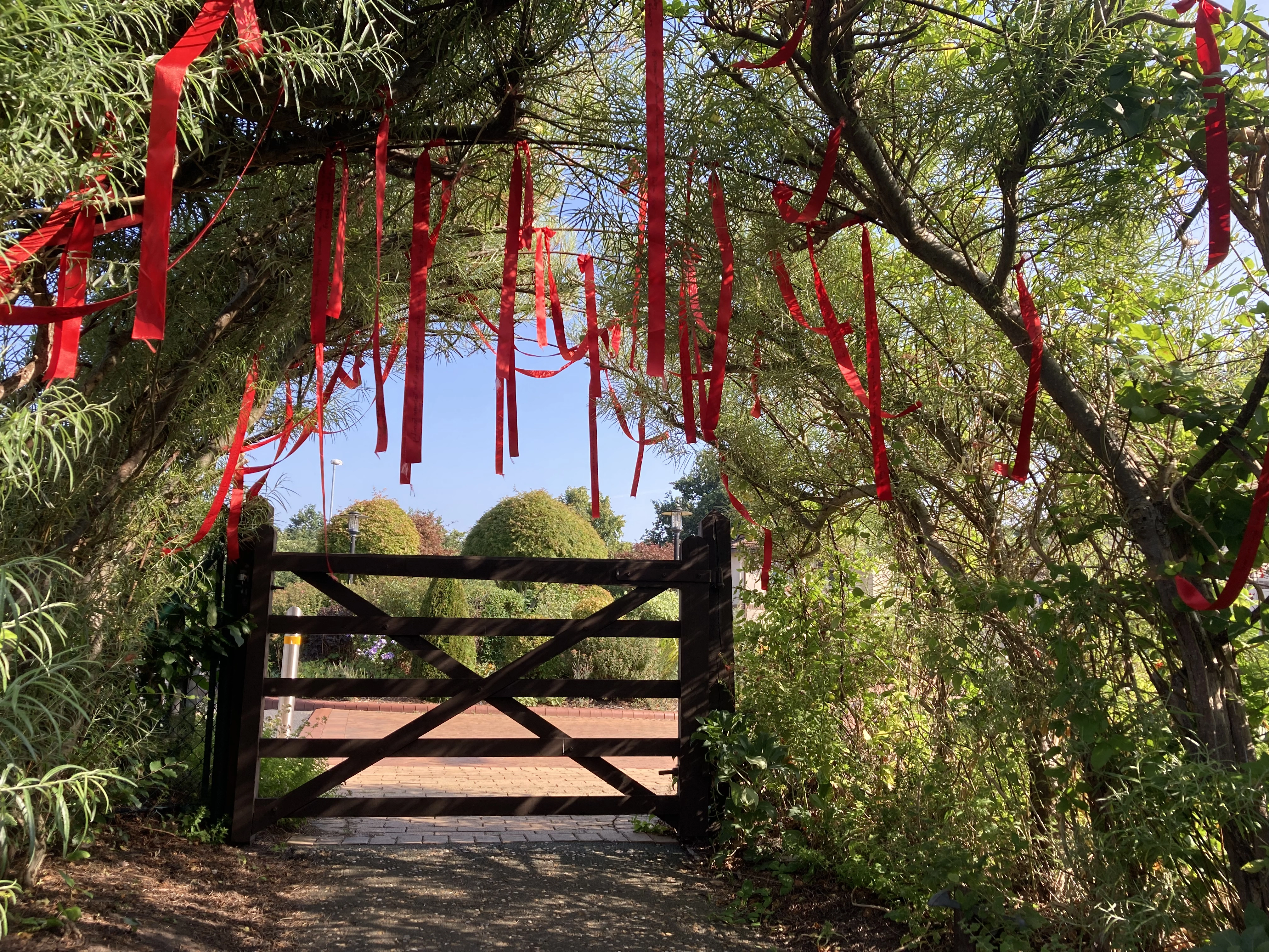 ribbons
