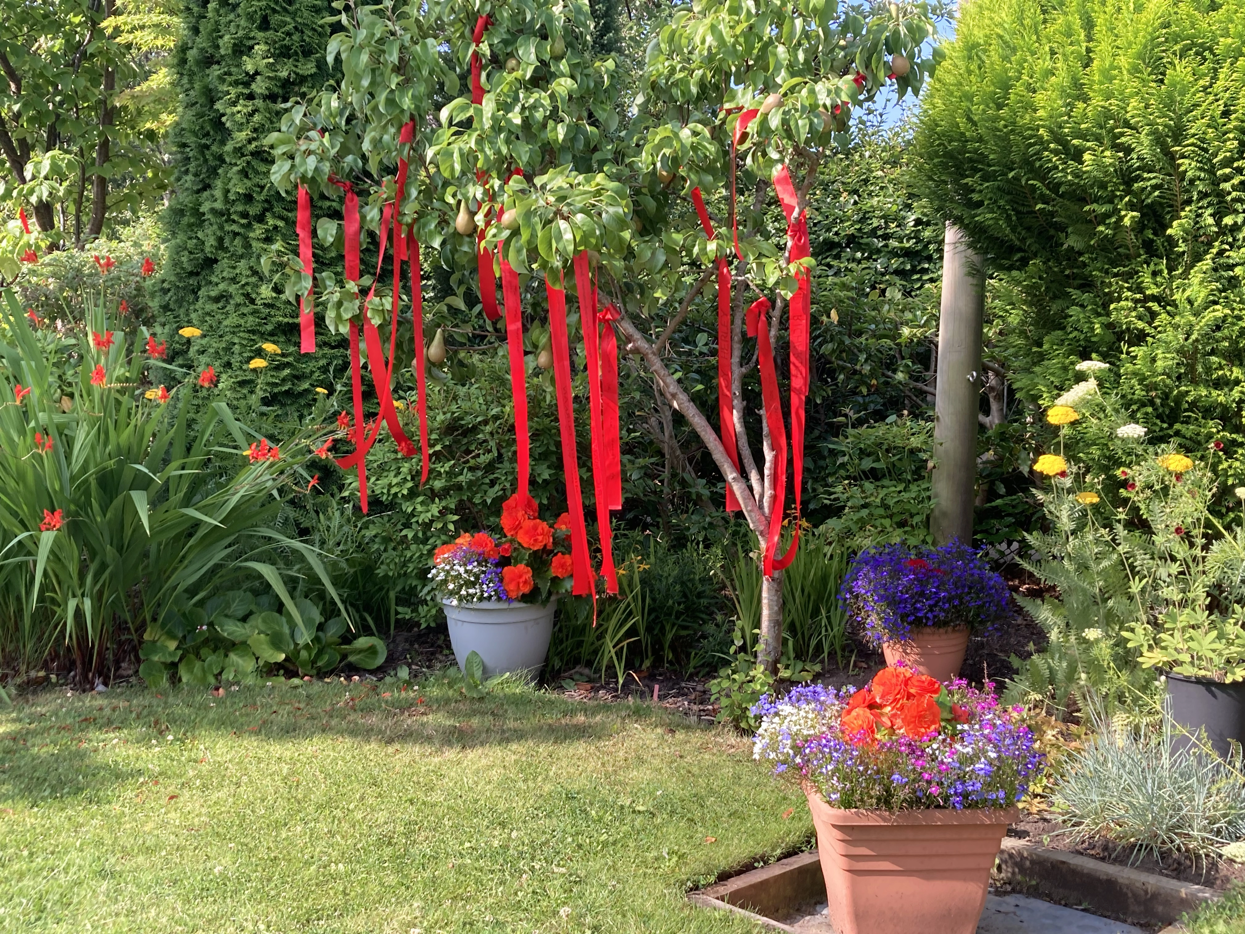 ribbons