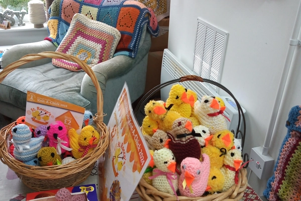 Knit A Chick