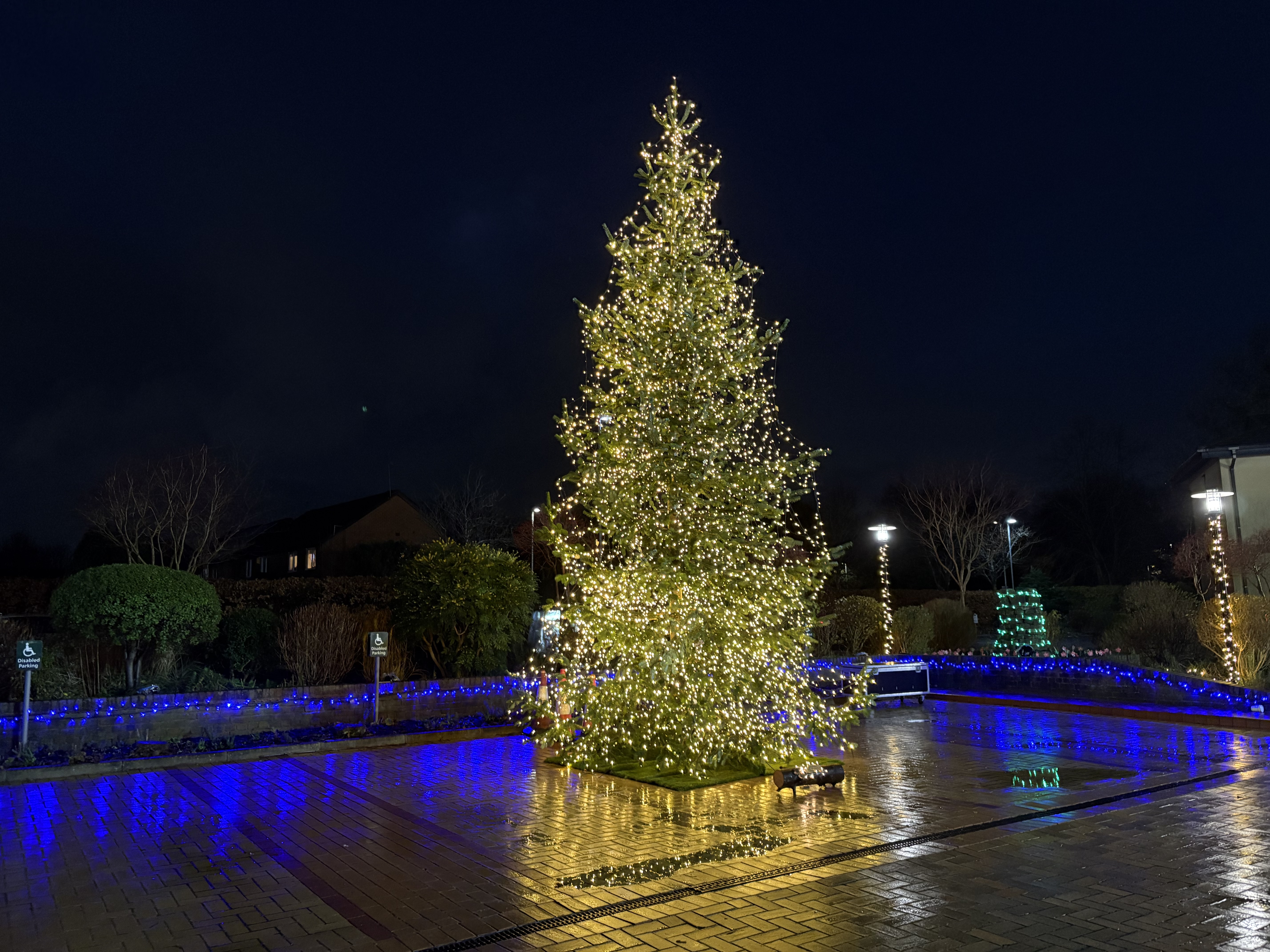 54971030449 98199Ee4d3 O (2)