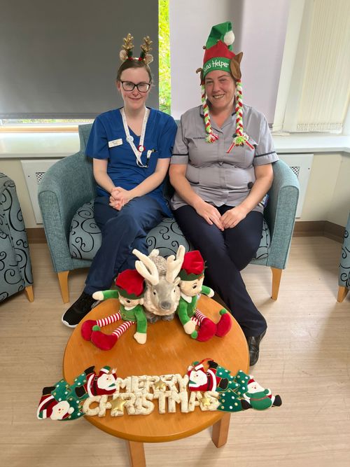 <h2><strong>Make a festive donation</strong></h2>