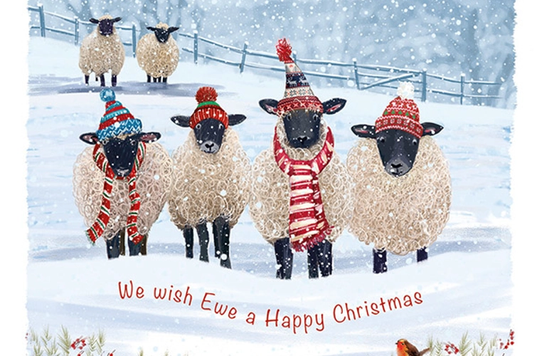 Warm Winter Woollies