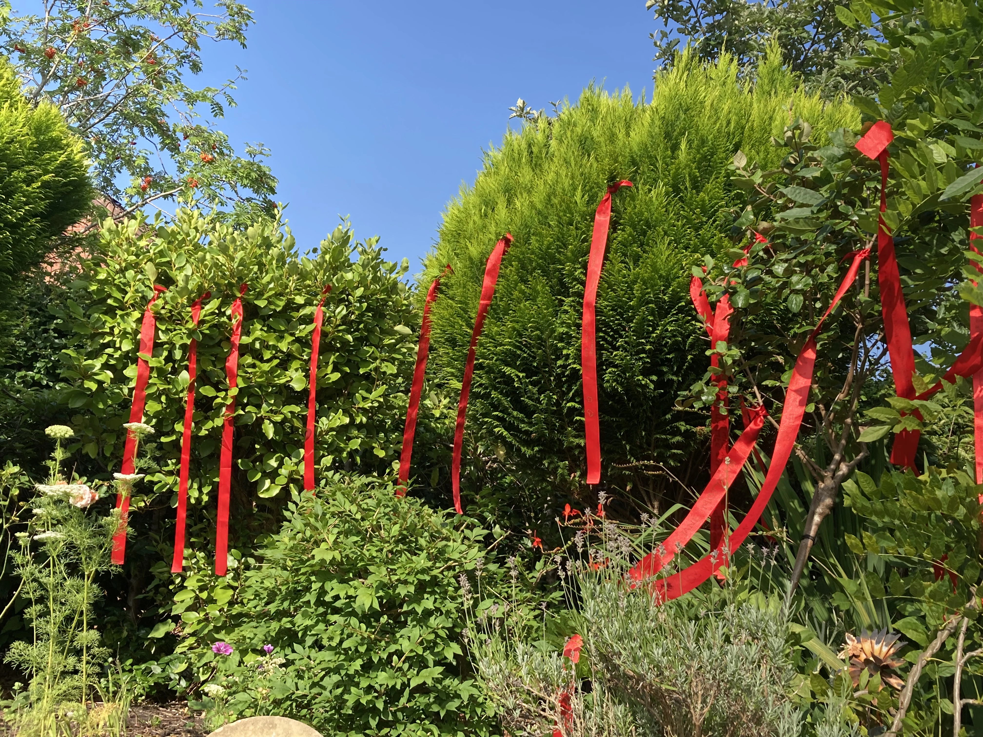 ribbons