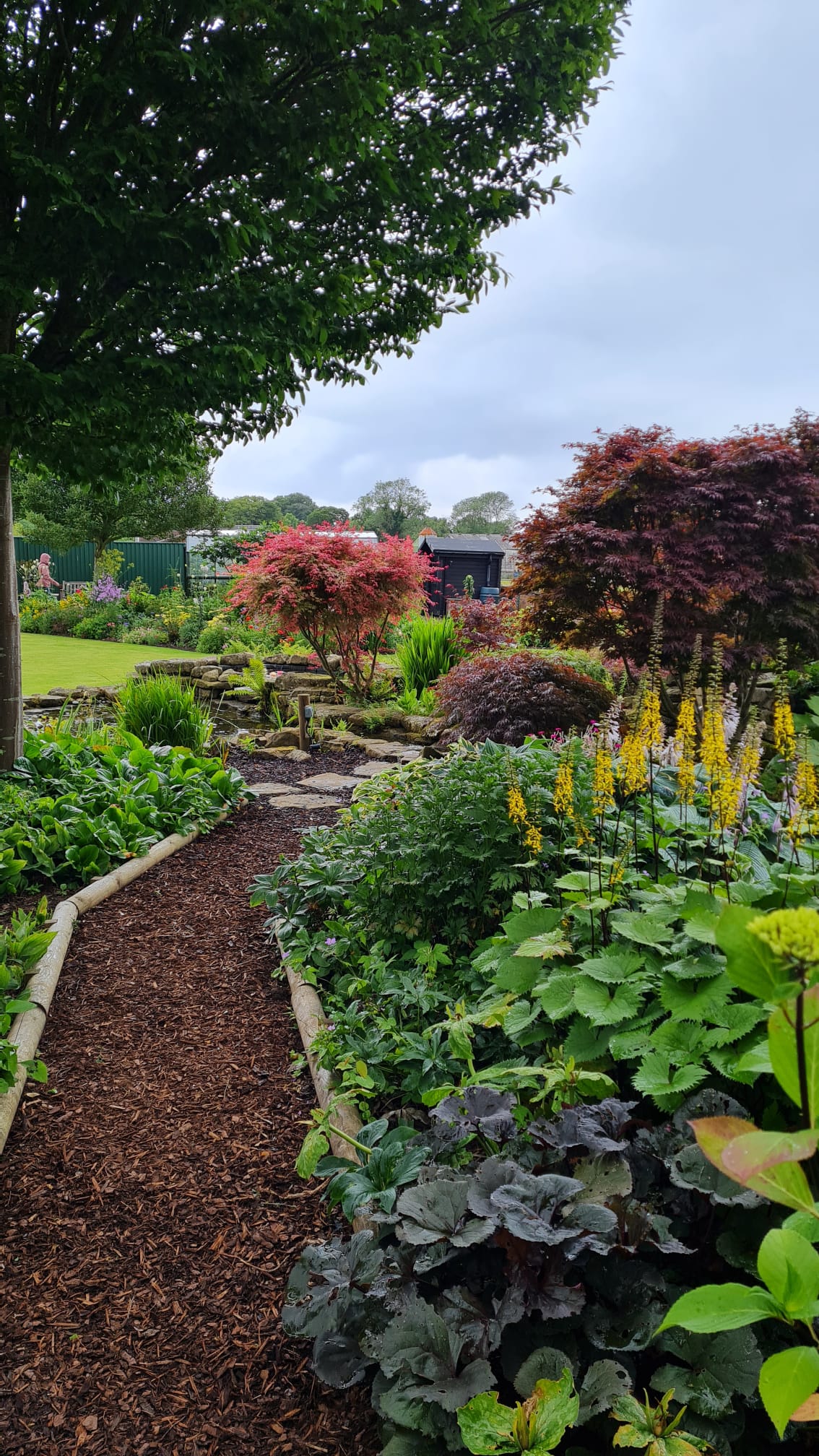 IMG 20240630 WA0031 (1)